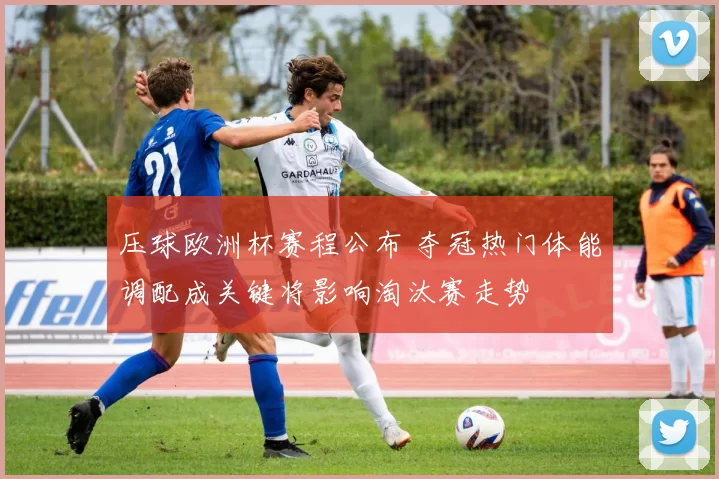 压球欧洲杯赛程公布 夺冠热门体能调配成关键将影响淘汰赛走势