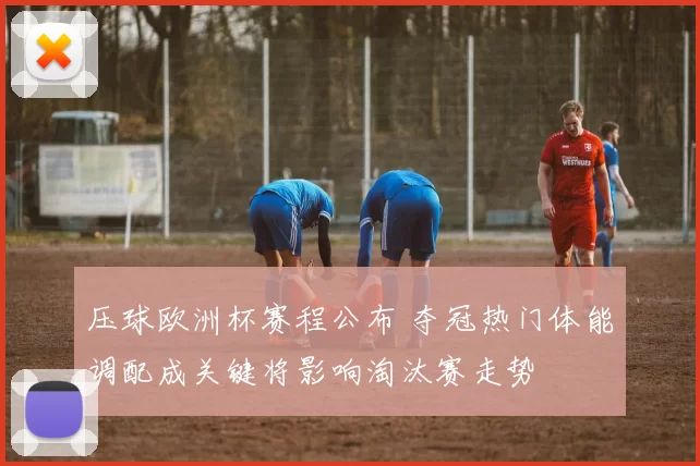 压球欧洲杯赛程公布 夺冠热门体能调配成关键将影响淘汰赛走势